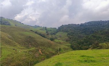 Venta de lotes campestre en San Roque Antioquia