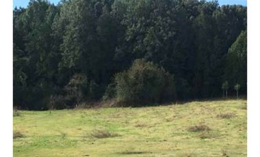 Parcela en venta Quebrada Honda - Llanquihue