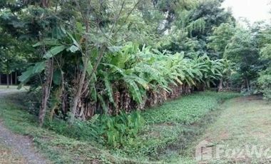 Land for sale in Mae Raem, Chiang Mai