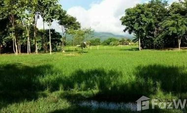 Land for sale in Mae Raem, Chiang Mai
