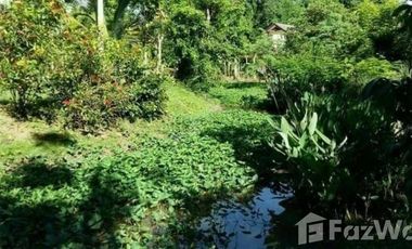 Land for sale in Mae Raem, Chiang Mai
