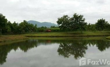 Land for sale in Mae Raem, Chiang Mai