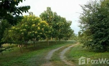 Land for sale in Mae Raem, Chiang Mai