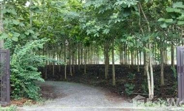 Land for sale in Mae Raem, Chiang Mai