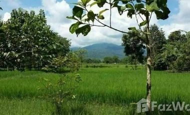 Land for sale in Mae Raem, Chiang Mai
