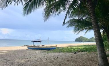 Lot for sale in Sipalay City - beach front property