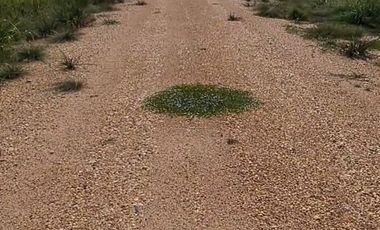 Venta Rancho con pista y hangar en Palizada