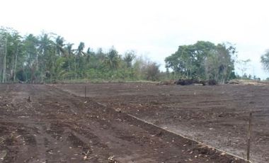 Kavling Cluster Perumahan Barat Bandara YIA, Siap Balik Nama