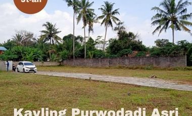 Tanah Dijual Murah Tabungan Masa Depan Akses Mudah Barat Kecamatan Purwodadi
