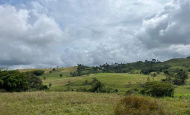 apartamento en arriendo en la campiña / el vergel. Cod A20338