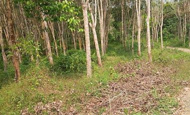 Jual Tanah SHM sangat luas di Margajaya Lebak