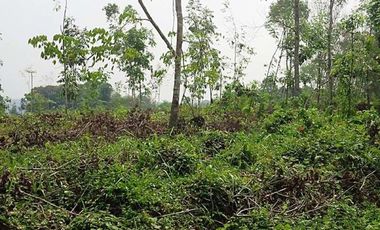 Jual Tanah SHM sangat luas di Margajaya Lebak