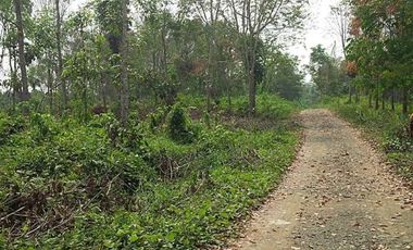 Jual Tanah SHM sangat luas di Margajaya Lebak