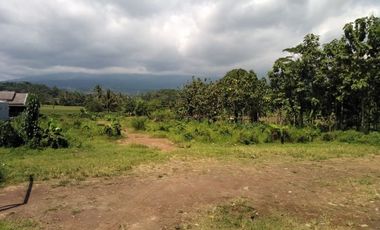 Tanah Dijual di Dukupuntang Cirebon