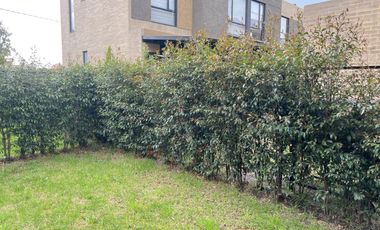 casa en venta en cajicá. Cod V8234630