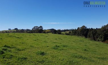 Parcela en Venta en Loncotoro