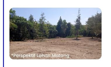 Tanah Rumah Bumirejo, Arah Pemda Magelang: Angsur 12x Tanpa Bunga