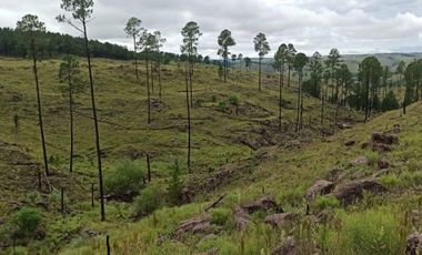 Terreno en Atos Pampa