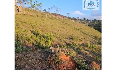 ref 888a el retiro/vendo lote campestre en pavas