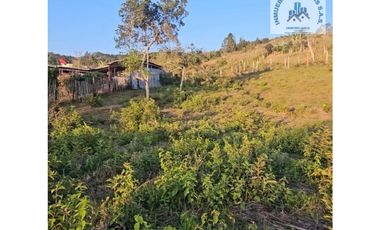 ref 888a el retiro/vendo lote campestre en pavas