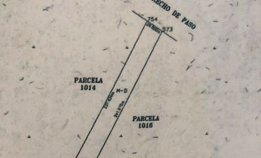 RENTA DE TERRENO IDEAL PARA EXHIBICION, ZONA CONIN, PLANO, SE PUEDE RENTAR POR MITAD