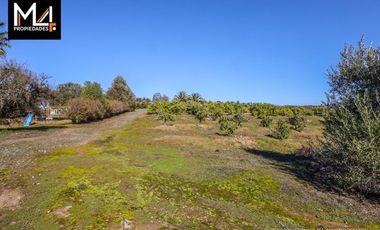 Parcela en venta en Melipilla
