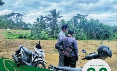Tanah dijual di Jawa Timur, Blitar Kabupaten