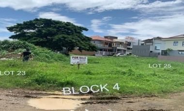 Foreclosed Residential Lot for Sale in G.C. Bernerabe Subdivision, Batangas City
