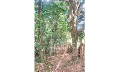 VENDO LOTE TITULADO DE 4320 CON QUEBRADA