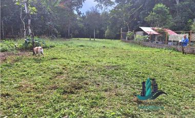 VENDO LOTE TITULADO DE 4320 CON QUEBRADA