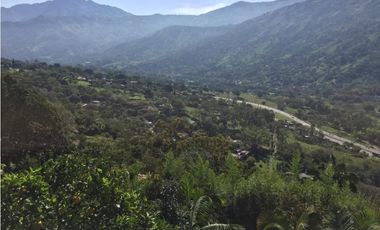Hermosa finca en Barbosa