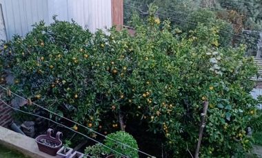 Se Vende Casa en Cerro Placeres Cercana a Universidad Santa María