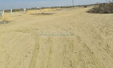 Terrenos Industriales Venta  PREDIO RUSTICO - PIURA