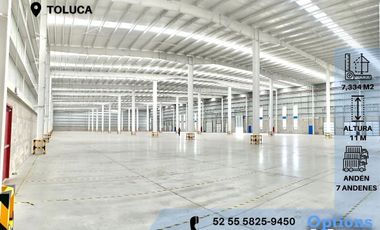 Rent of industrial property in Toluca