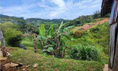 Finca En San Rafael Vereda Jaguas