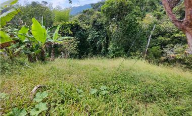 Finca En San Rafael Vereda Jaguas