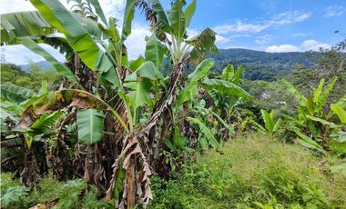 Finca En San Rafael Vereda Jaguas