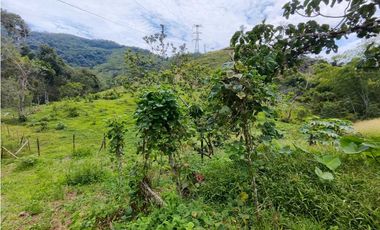Finca En San Rafael Vereda Jaguas