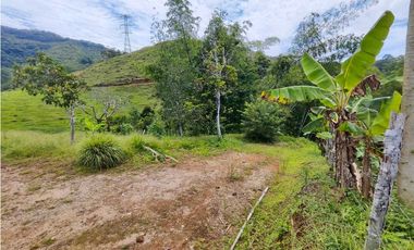 Finca En San Rafael Vereda Jaguas