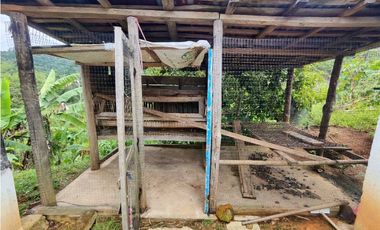 Finca En San Rafael Vereda Jaguas