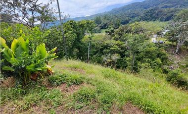 Finca En San Rafael Vereda Jaguas