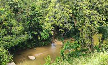 Finca En San Rafael Vereda Jaguas