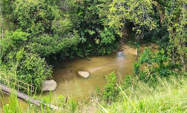 Finca En San Rafael Vereda Jaguas