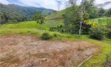 Finca En San Rafael Vereda Jaguas