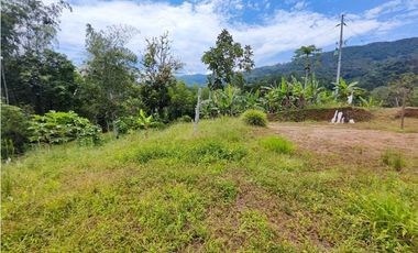 Finca En San Rafael Vereda Jaguas