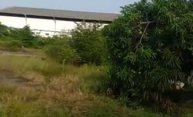Dijual/Disewakan Lahan kosong di Karawaci Jl. Teuku Umar Tangerang Lokasi Super Strategis