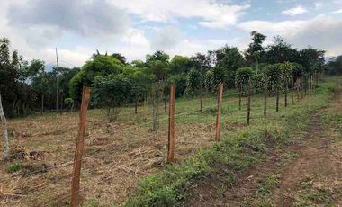 TERRENOS EN TARAPOTO EN VILLA AUTONOMA