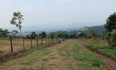 TERRENOS EN TARAPOTO EN VILLA AUTONOMA