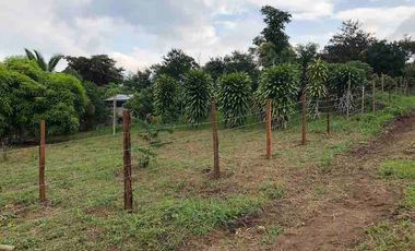 TERRENOS EN TARAPOTO EN VILLA AUTONOMA