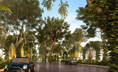 Mintara Lotes Residenciales
